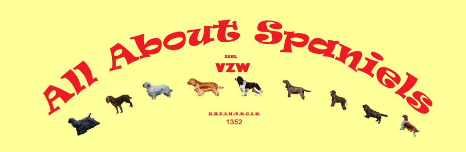 All About Spaniels Banner