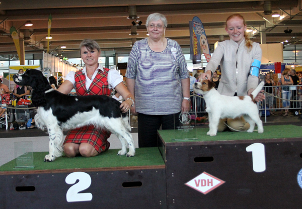 Jgd-Best in Show 2nd place,Bremen
