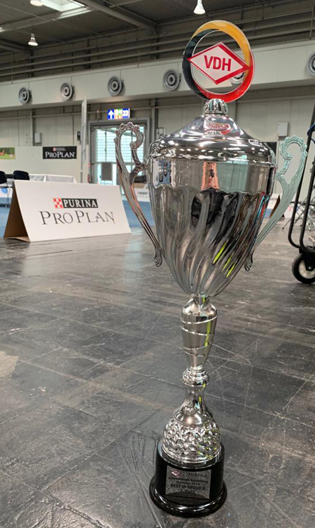 Pokal Hannover 2019