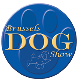 brussels-dog-show badge.